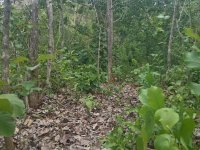 categories